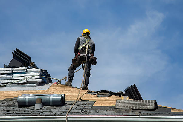 Professional Flat Roof Repair technician working in Thornton, IL